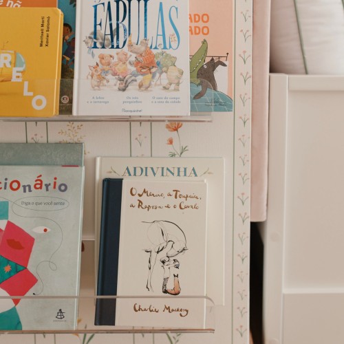 Prateleira porta Livros em acrílico - Itens leves 